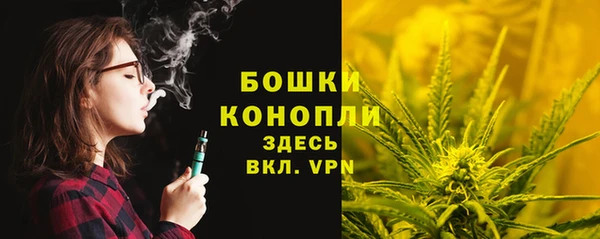 PSILOCYBIN Алексин