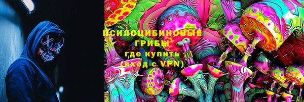 PSILOCYBIN Алексин