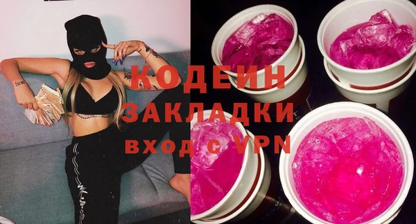 прущие грибы Алзамай