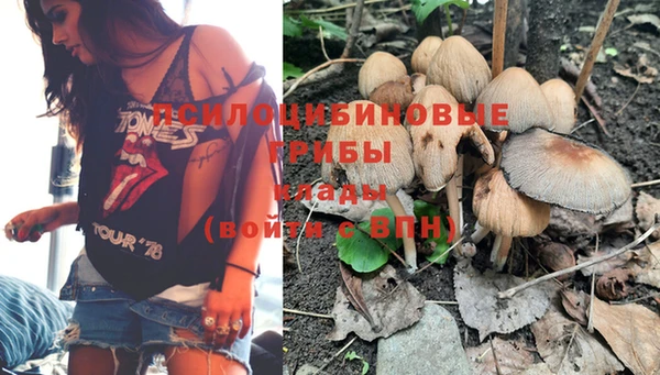 PSILOCYBIN Алексин