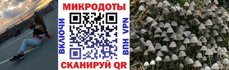 Галлюциногенные грибы GOLDEN TEACHER  даркнет сайт  Набережные Челны 