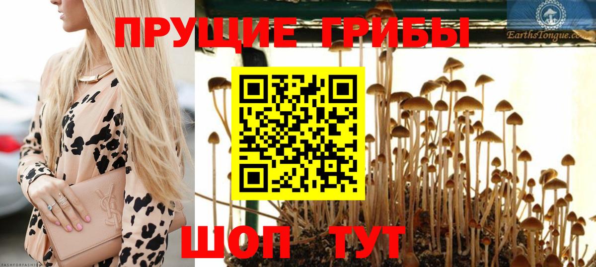 Набережные Челны  Галлюциногенные грибы Psilocybe  Вход с VPN  Псилоцибиновые грибы GOLDEN TEACHER 